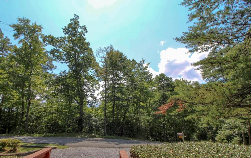 Mountain Dew - 2 Bedrooms, 2 Baths, Sleeps 4 Cabin Gatlinburg Exterior foto